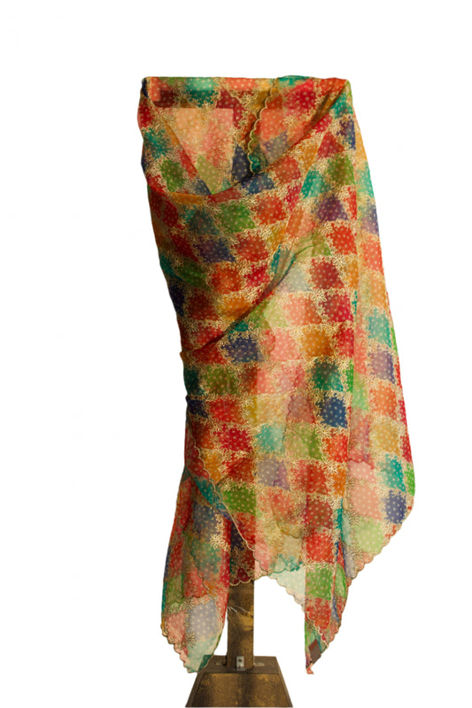 Multi colour embroidered cutwork dupatta
