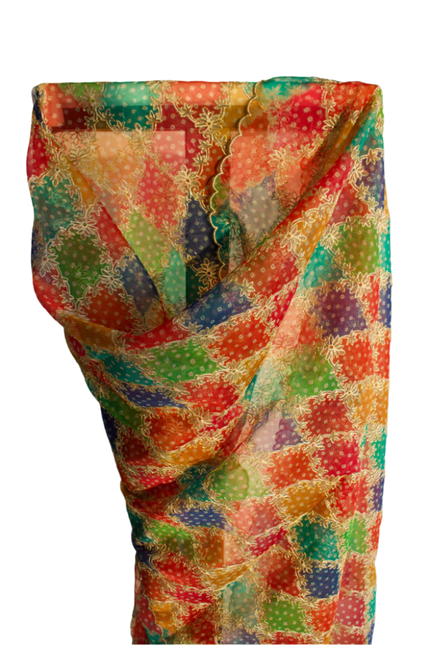 Multi colour embroidered cutwork dupatta