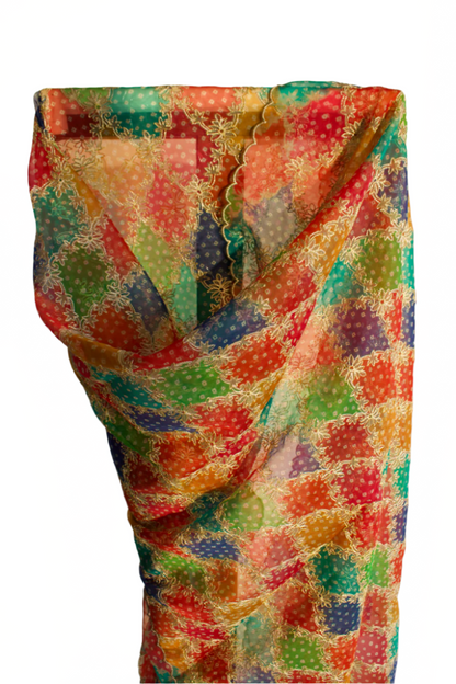 Multi colour embroidered cutwork dupatta