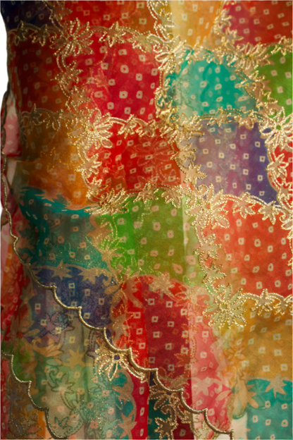 Multi colour embroidered cutwork dupatta