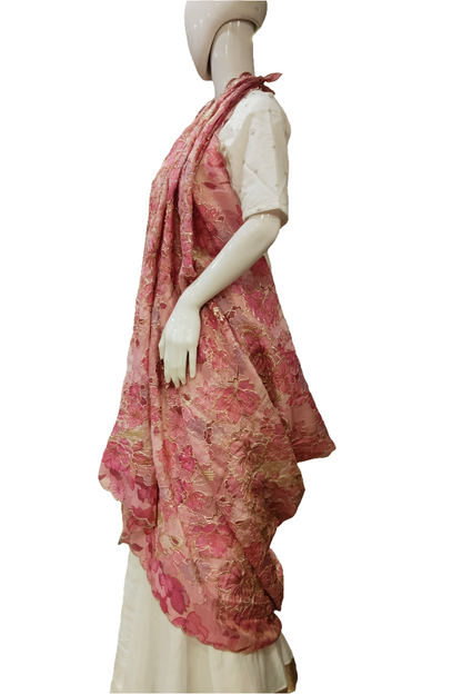 ETHEREAL MULTI PINKS DUPPATA